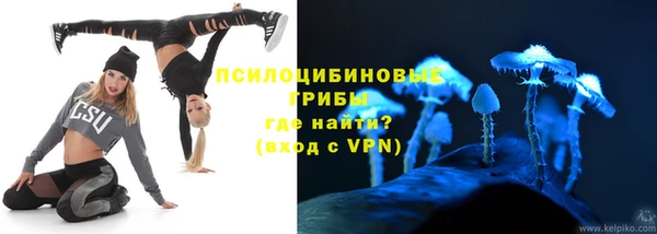 СК Новозыбков