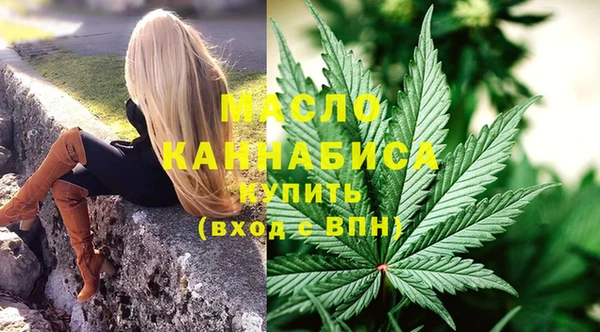 СК Новозыбков