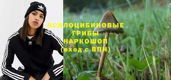 СК Новозыбков