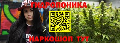 прущая мука Гусев