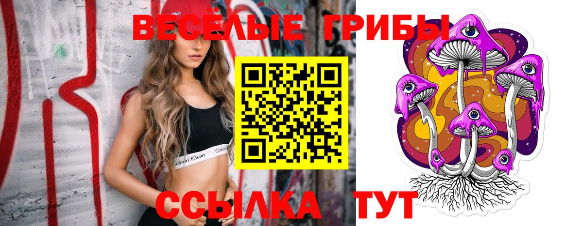 Галлюциногенные грибы Psilocybine cubensis  Вход с VPN  Карабулак  Галлюциногенные грибы GOLDEN TEACHER 