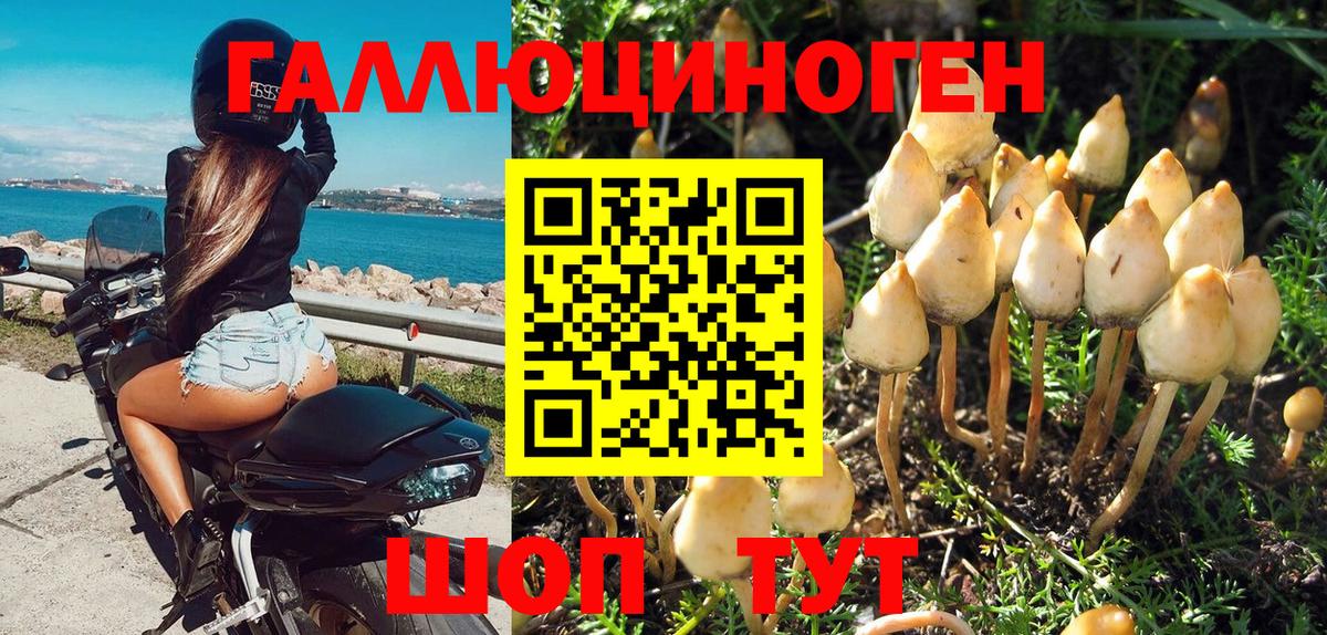 Псилоцибиновые грибы GOLDEN TEACHER Карабулак