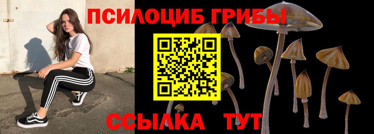 Галлюциногенные грибы Magic Shrooms  Галлюциногенные грибы Psilocybe  Карабулак 
